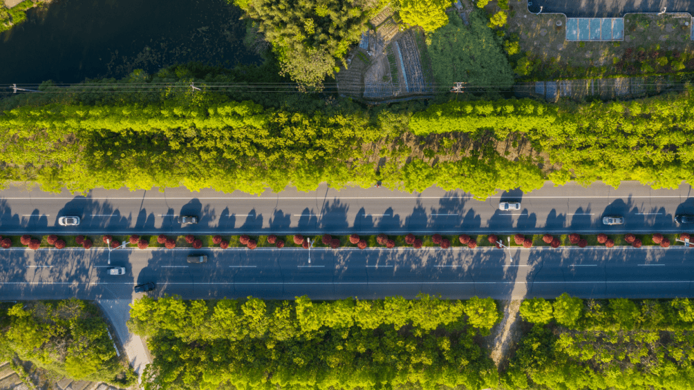 沙溪一号公路：一条缠绕心间的田园诗带